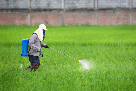 Agriculture knapsack double pump sprayer - 20Liter