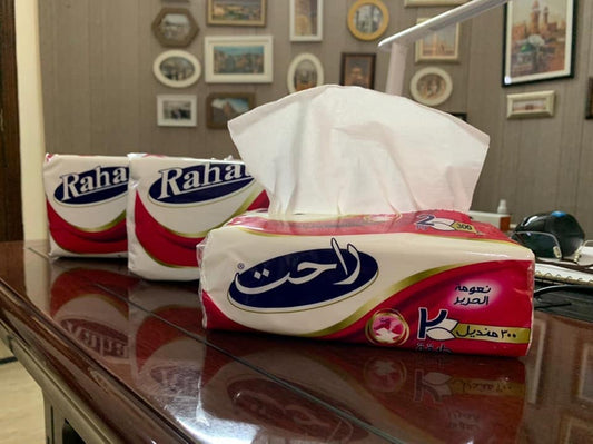 RAHAT 2 Ply 300 Tissues Silky Soft Napkins