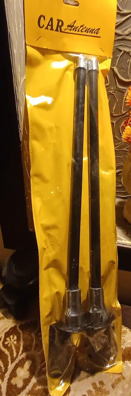 Car Antena - 1 Pair